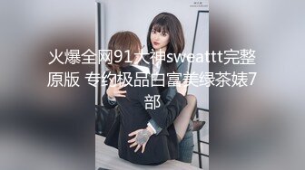 火爆全网91大神sweattt完整原版 专约极品白富美绿茶婊7部