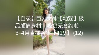 【自录】巨乳女神【幼猫】极品颜值身材，吸奶无套约啪，3-4月直播合集【41V】 (12)