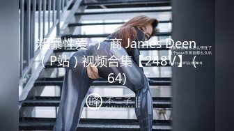 粗暴性爱~厂商 James Deen（P站）视频合集【248V】 (64)