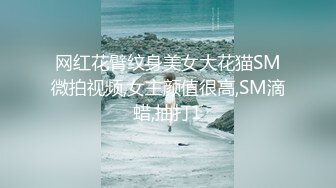 网红花臂纹身美女大花猫SM微拍视频,女主颜值很高,SM滴蜡,抽打1