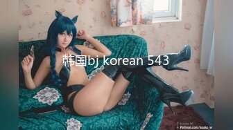 韩国bj korean 543